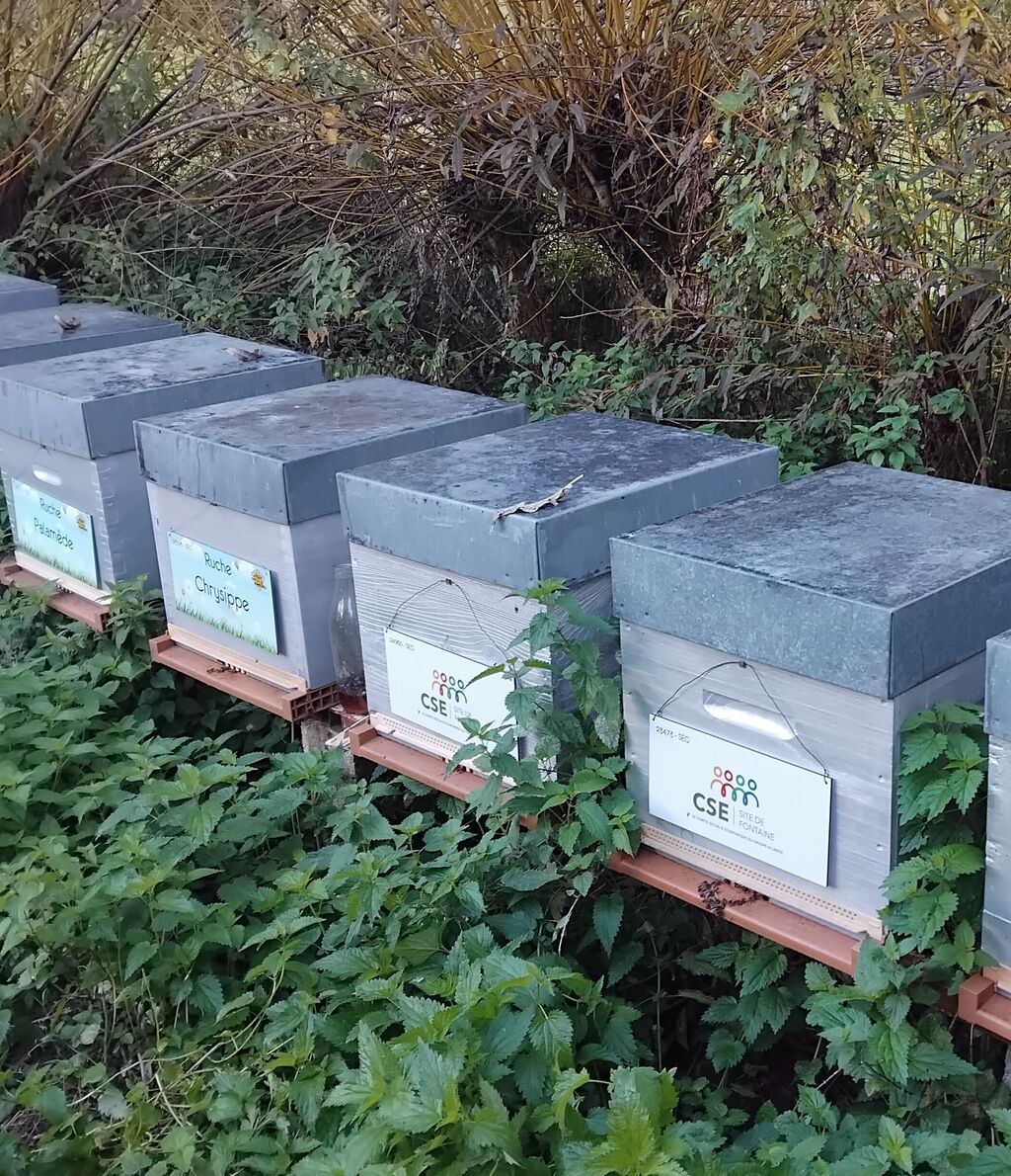 La ruche CSE CICE FONTAINE (GROUPE ATLANTIC)