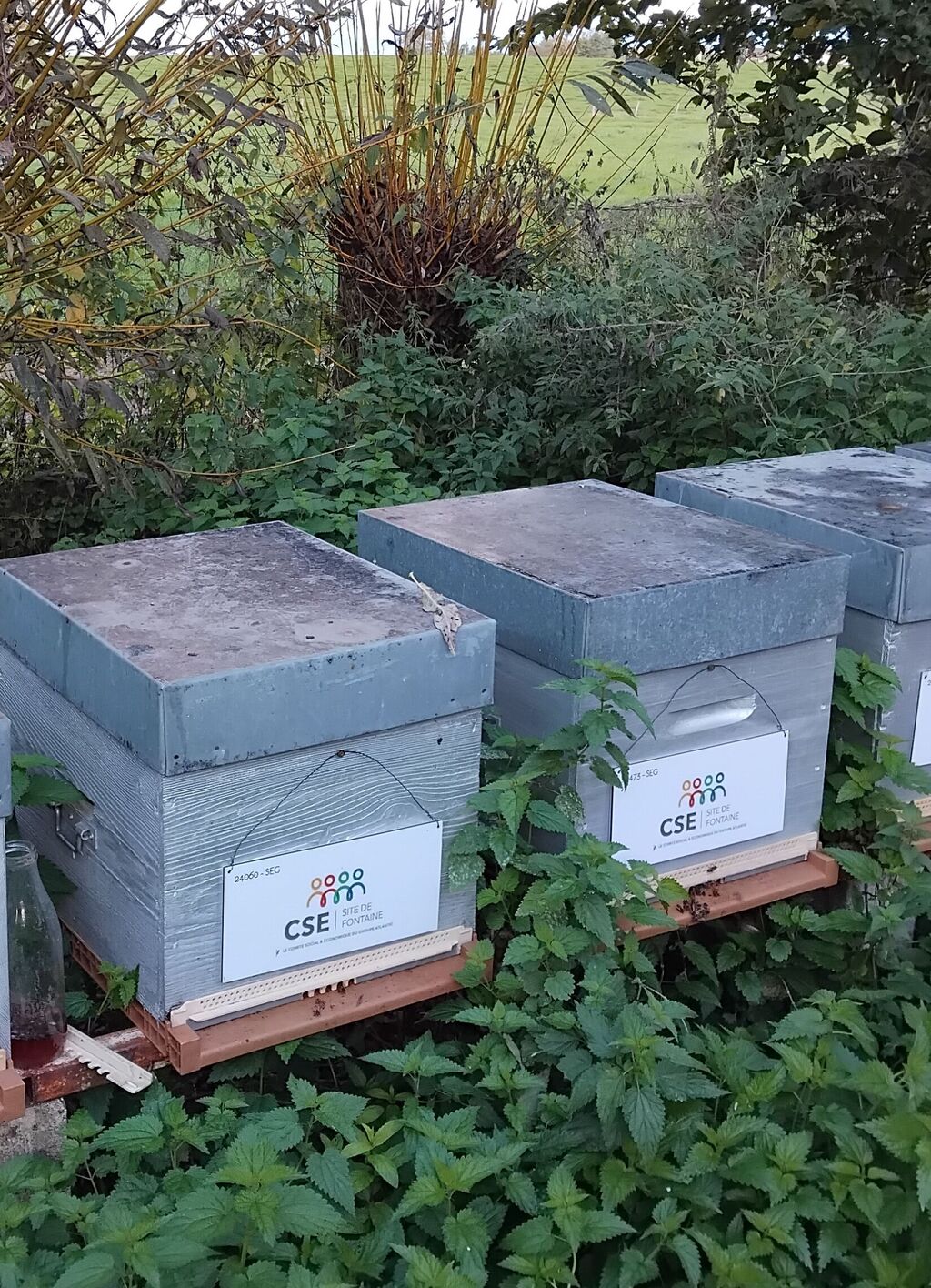 La ruche CSE CICE FONTAINE (GROUPE ATLANTIC)