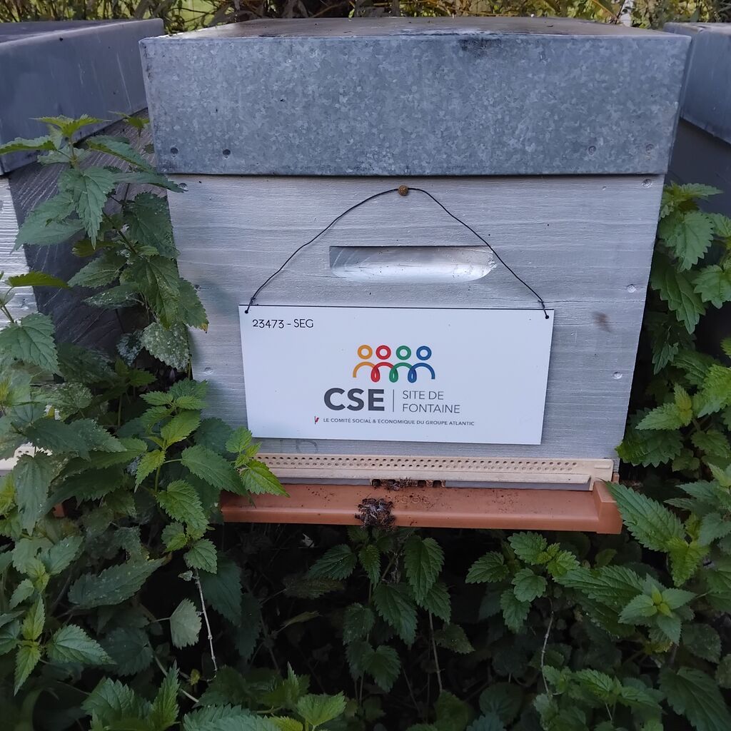 La ruche CSE CICE FONTAINE (GROUPE ATLANTIC)