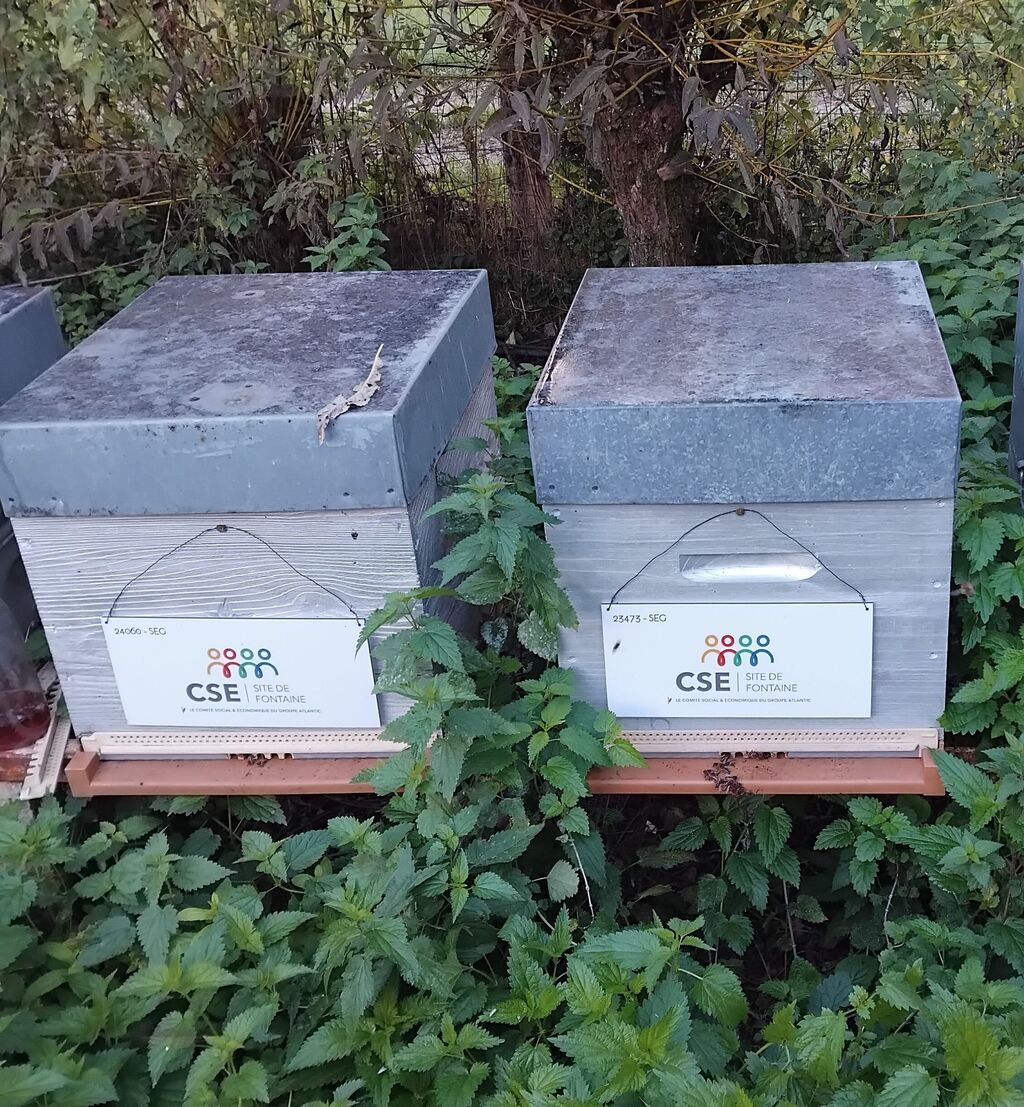 La ruche CSE CICE FONTAINE (GROUPE ATLANTIC)