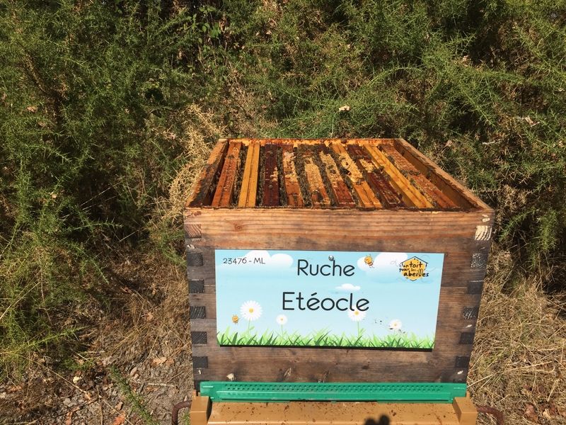 La ruche