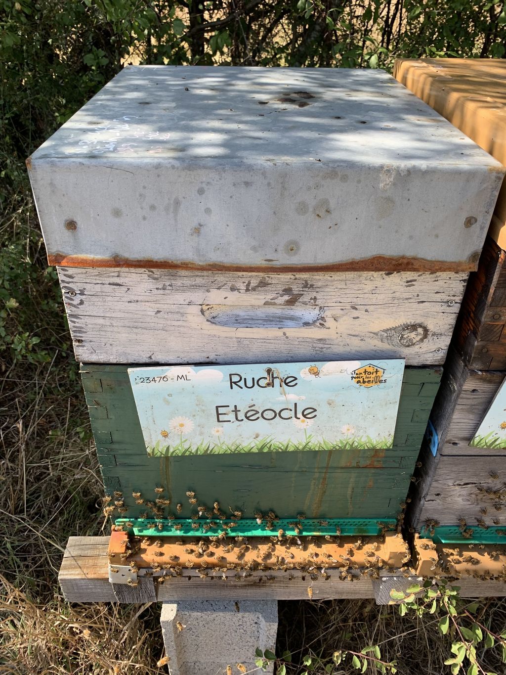 La ruche Etéocle