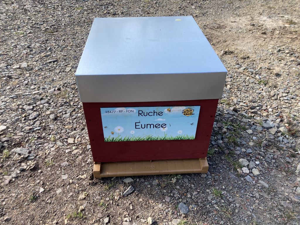 La ruche Eumee