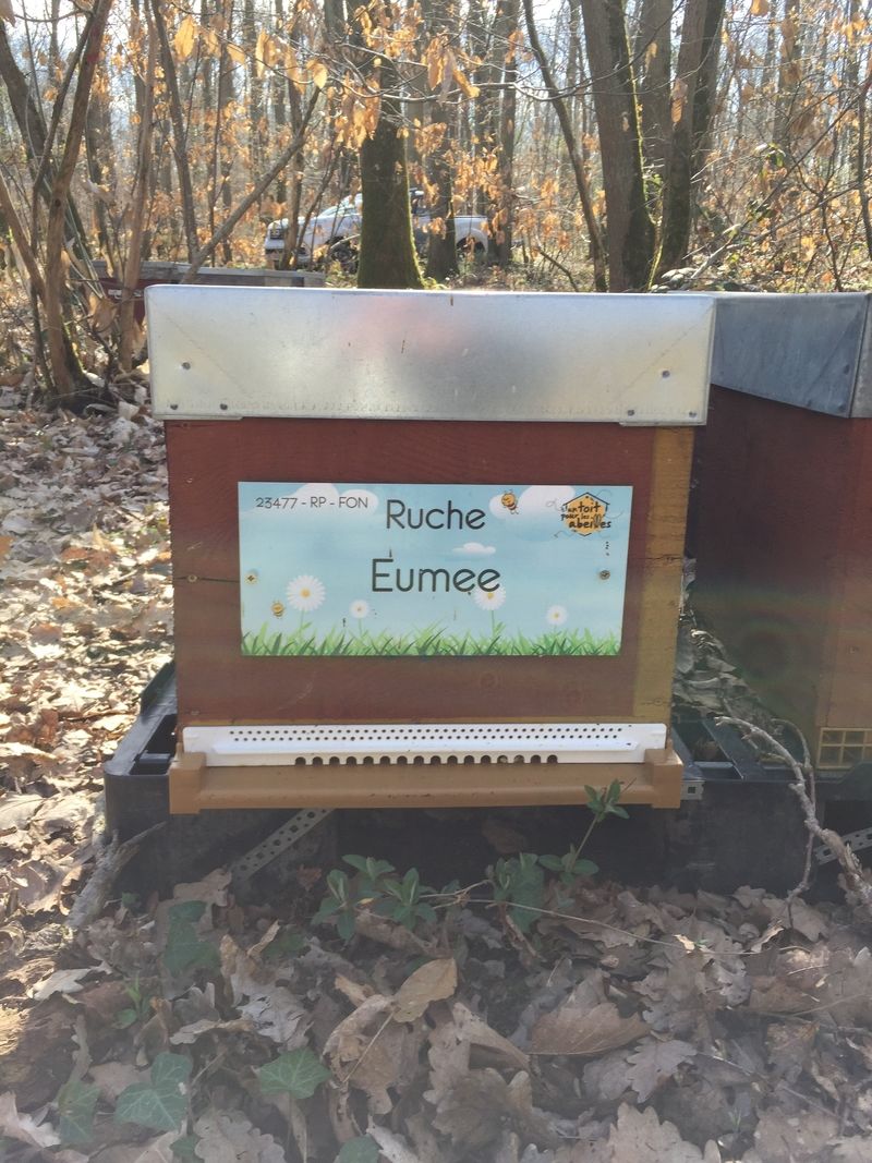 La ruche Eumee