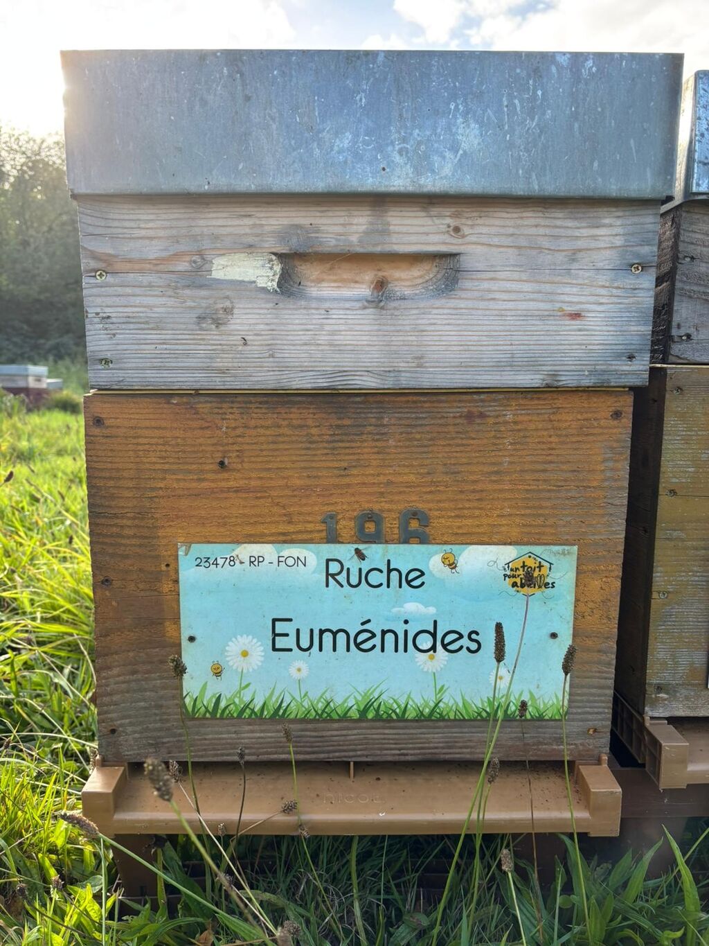 La ruche Euménides