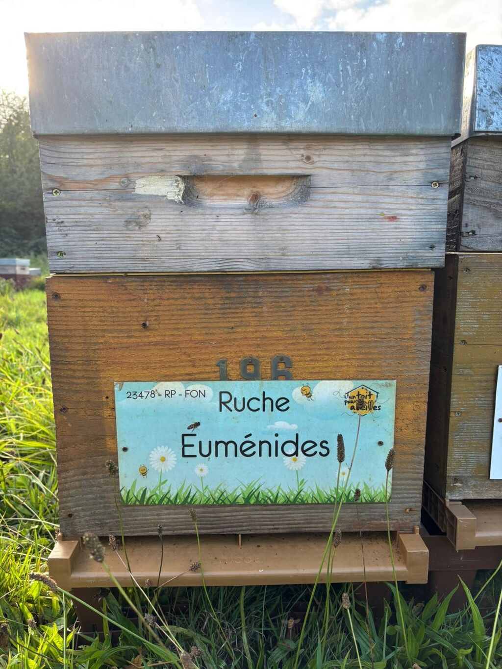 La ruche Euménides