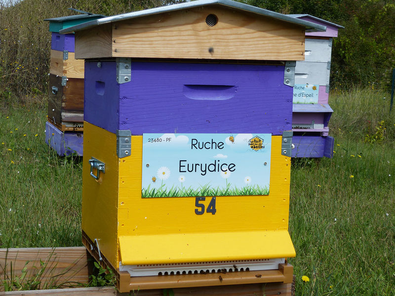 La ruche Eurydice