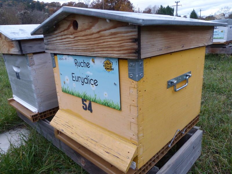 La ruche Eurydice