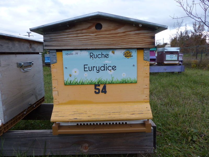 La ruche Eurydice