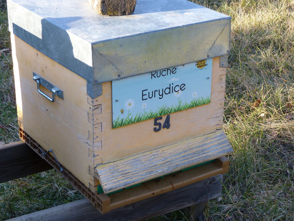 La ruche Eurydice