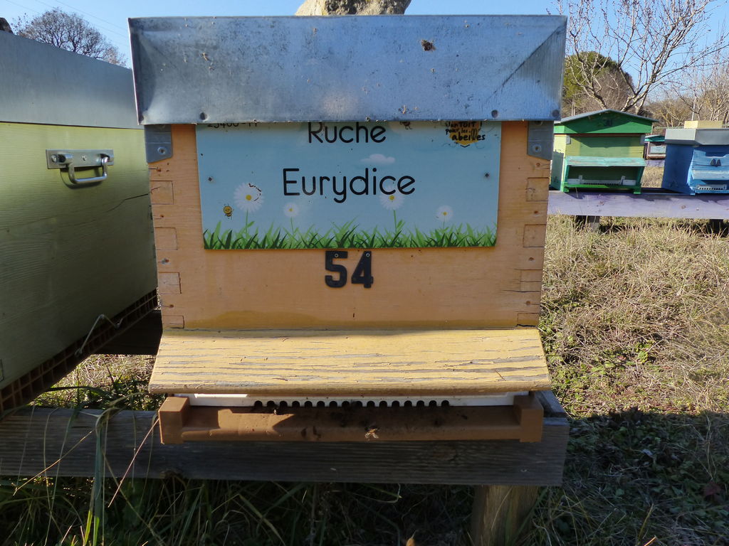 La ruche Eurydice