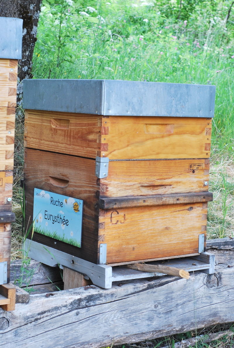 La ruche Eurysthée