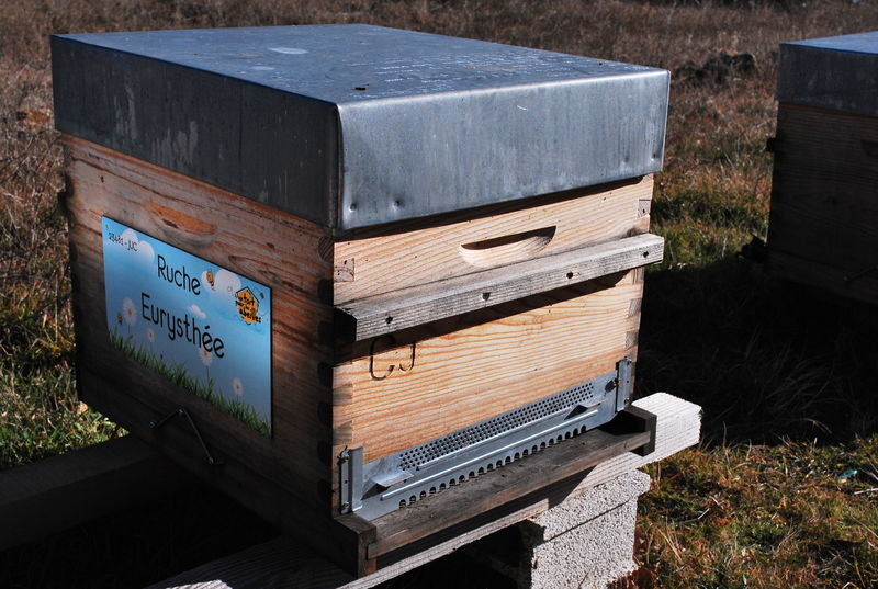 La ruche Eurysthée