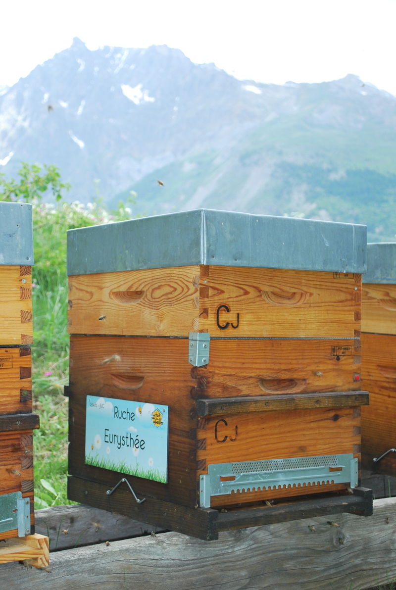 La ruche Eurysthée