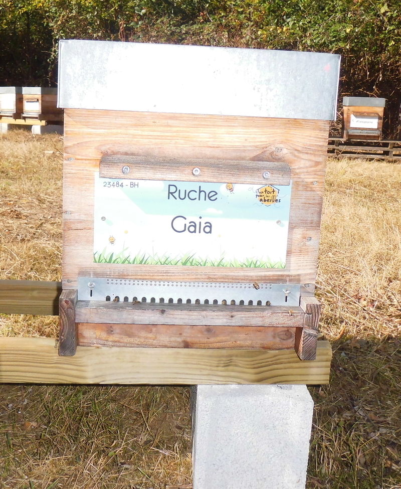 La ruche