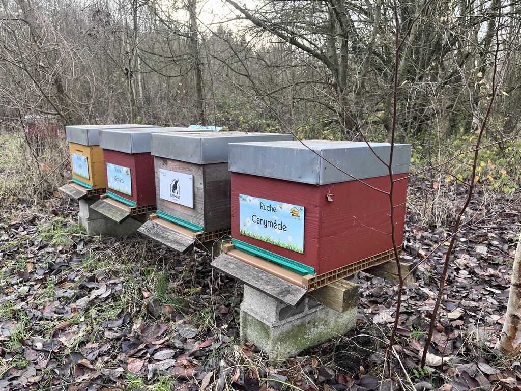 La ruche Ganymède