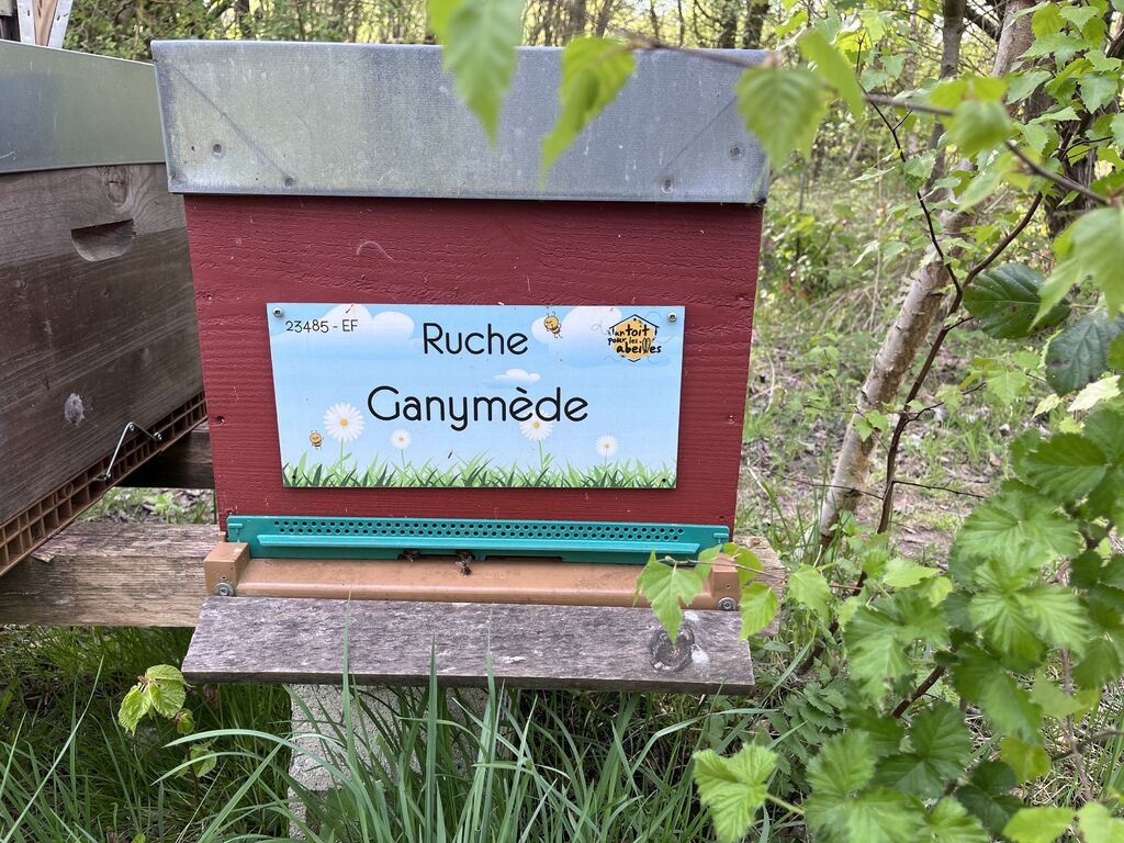 La ruche Ganymède