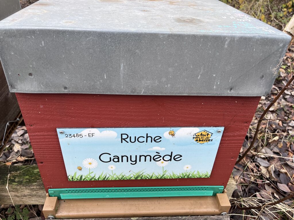 La ruche Ganymède