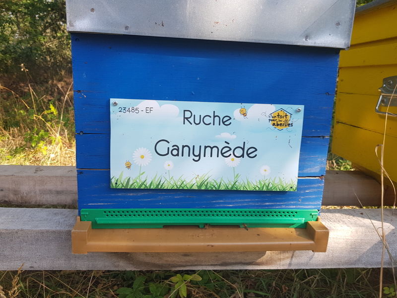 La ruche Ganymède