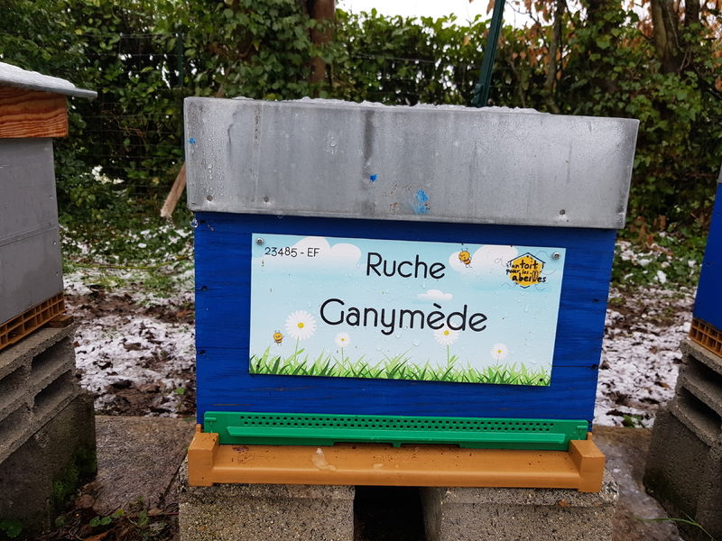 La ruche Ganymède