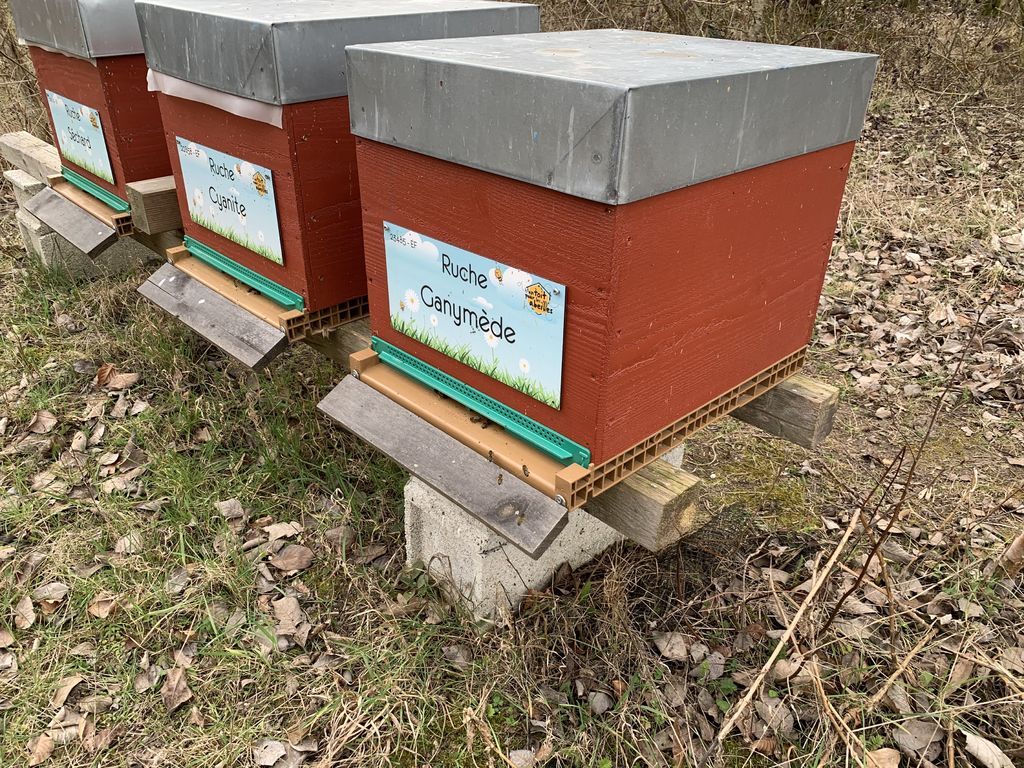 La ruche Ganymède
