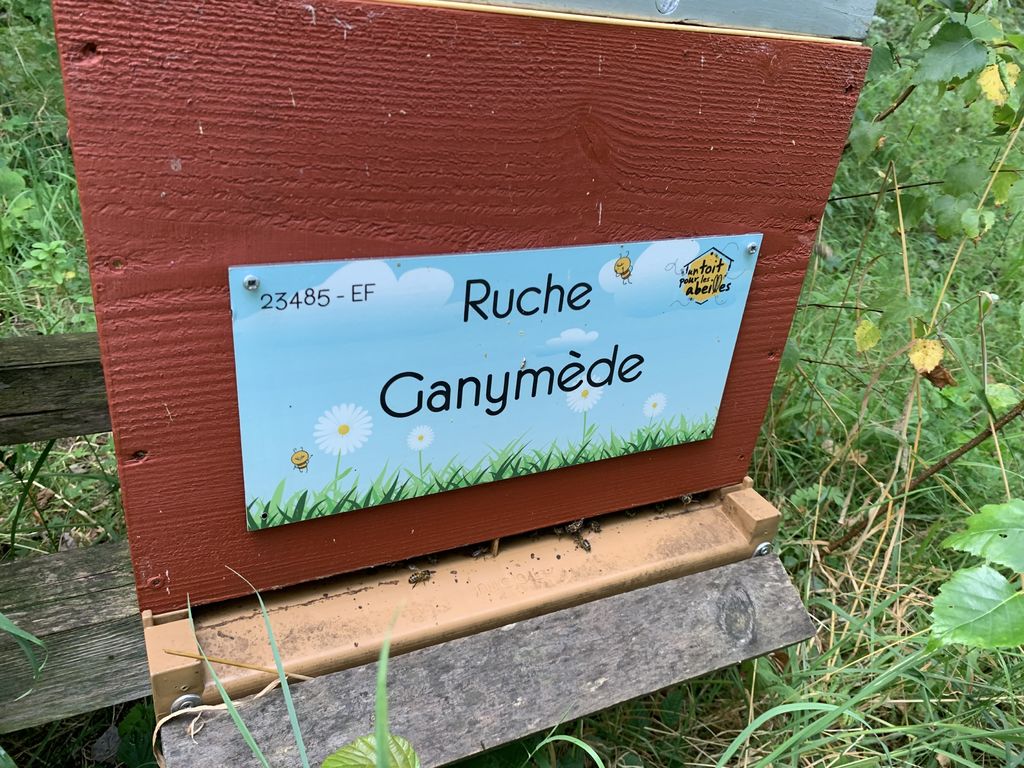 La ruche Ganymède