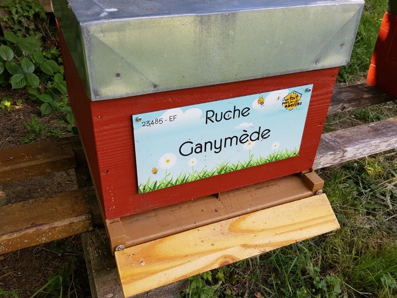 La ruche Ganymède