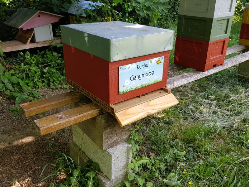 La ruche Ganymède