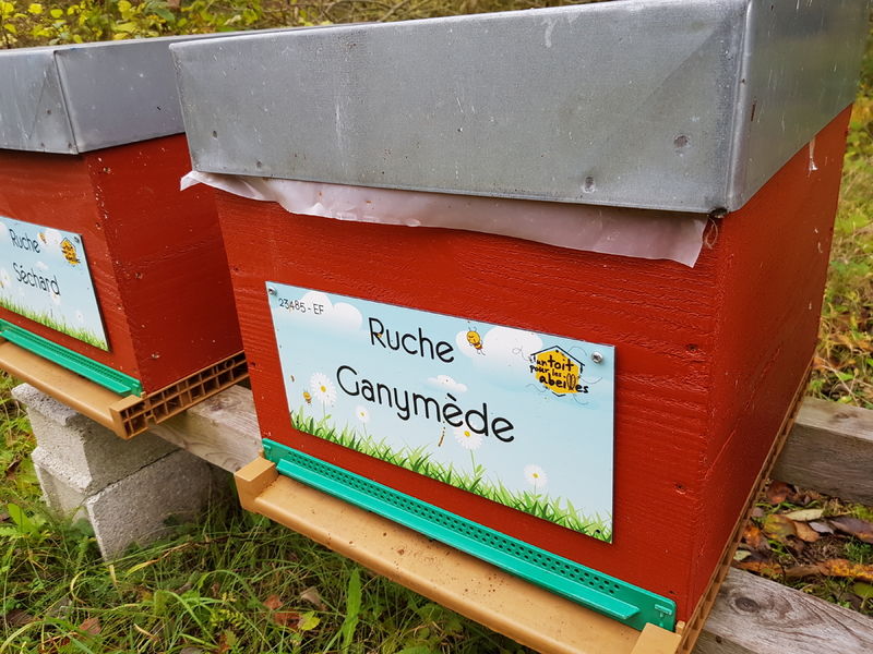 La ruche Ganymède