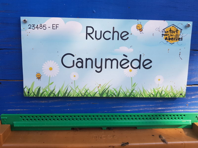 La ruche Ganymède