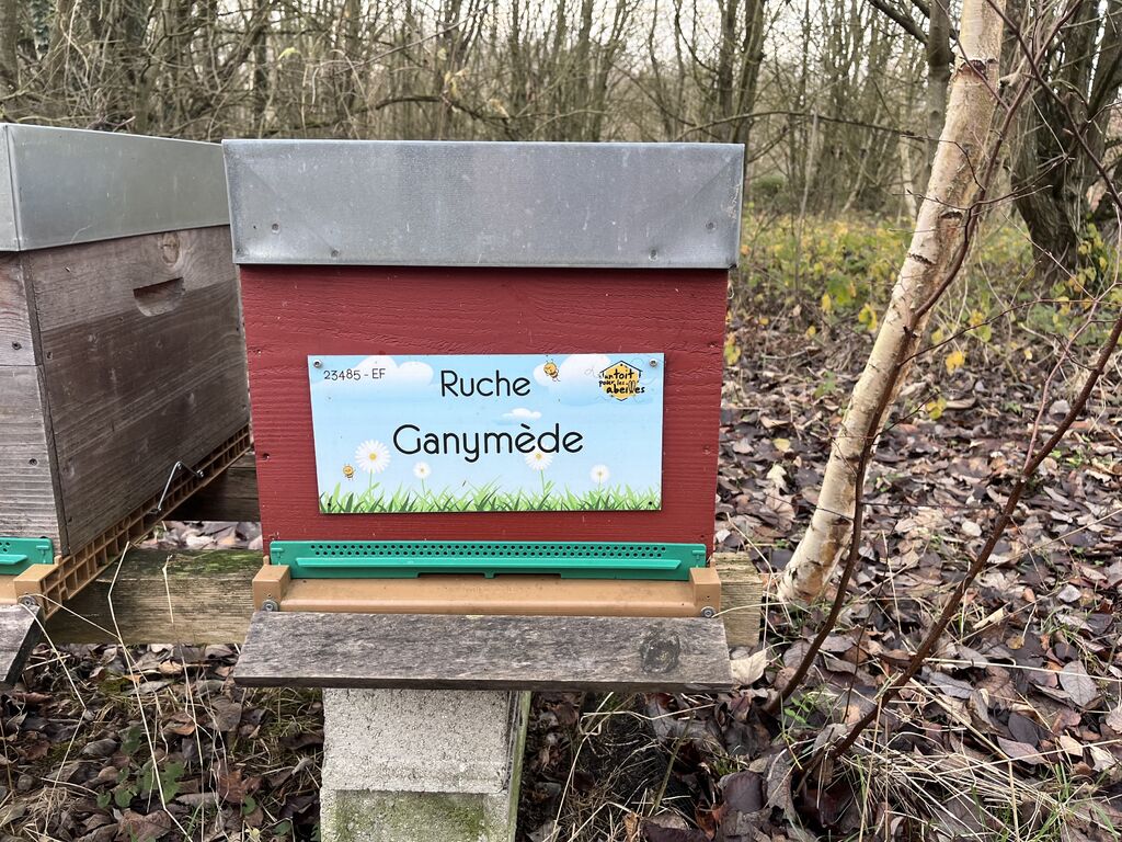La ruche Ganymède