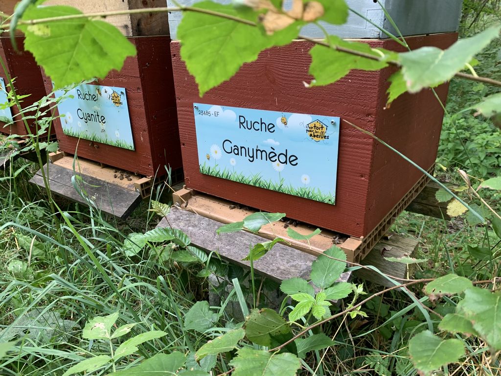 La ruche Ganymède
