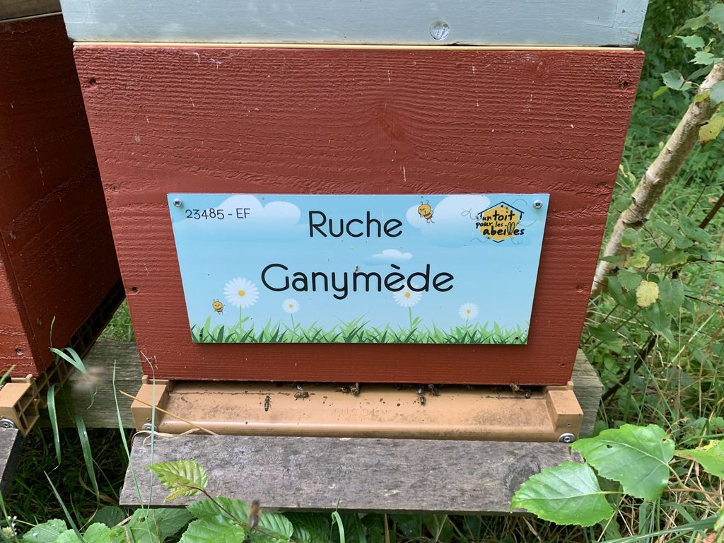 La ruche Ganymède