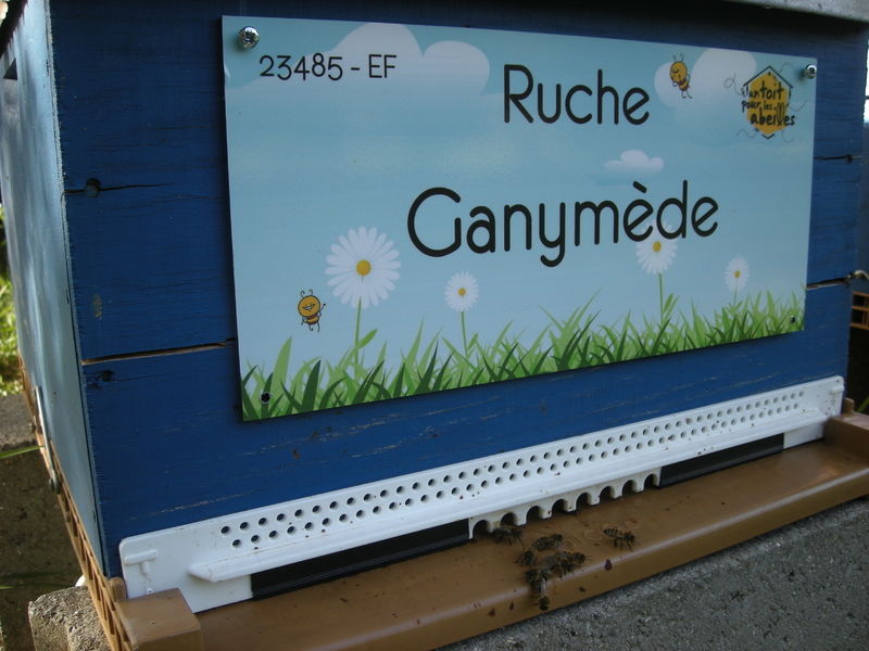 La ruche Ganymède