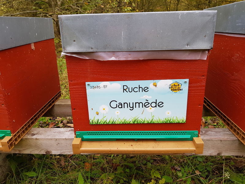 La ruche Ganymède
