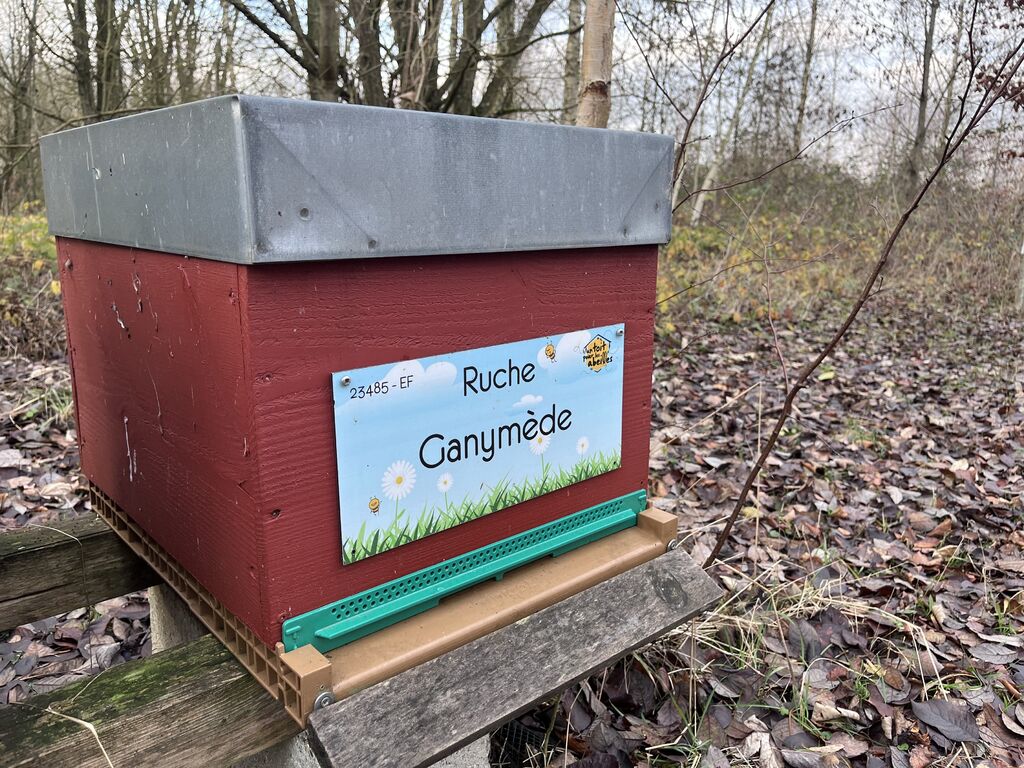 La ruche Ganymède