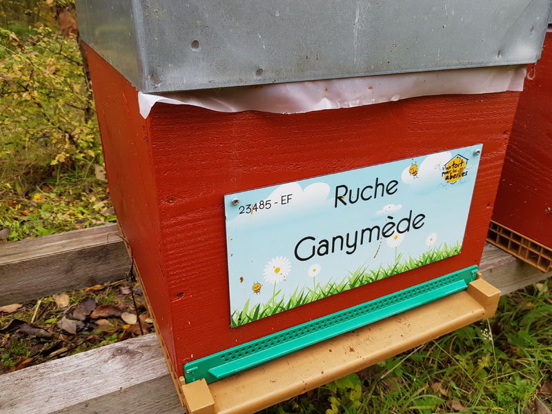 La ruche Ganymède