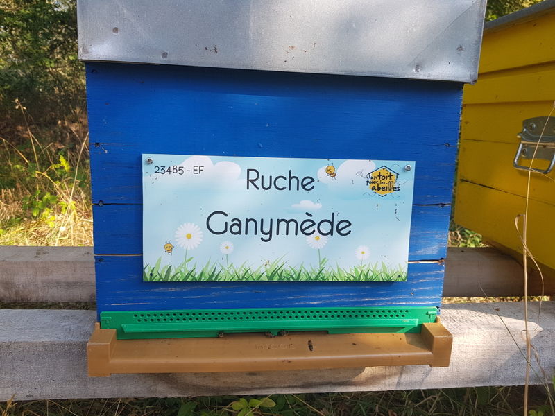 La ruche Ganymède
