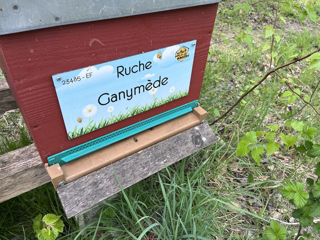 La ruche Ganymède