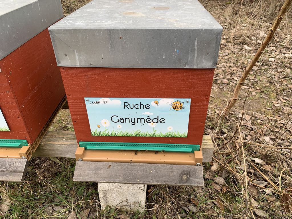 La ruche Ganymède
