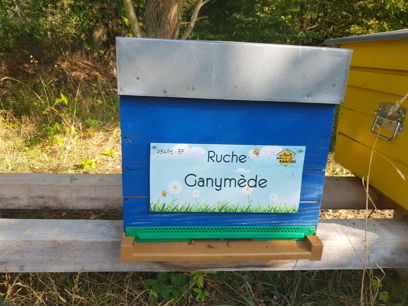 La ruche Ganymède
