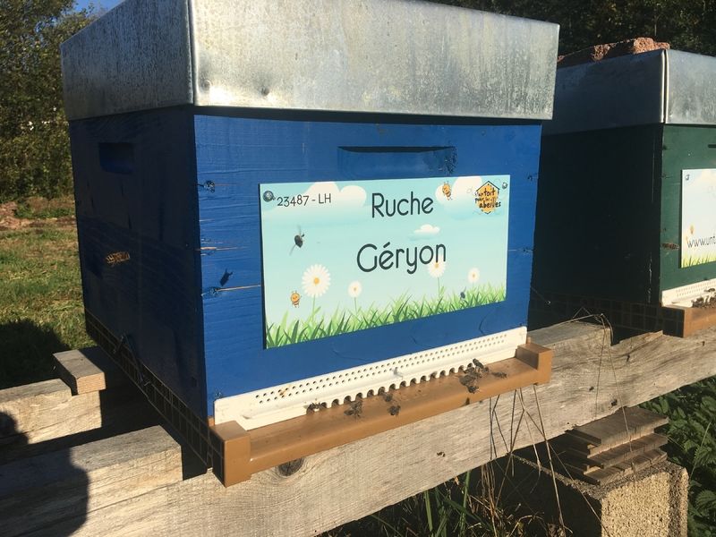 La ruche