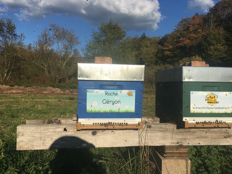 La ruche Géryon