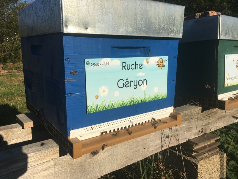 La ruche Géryon