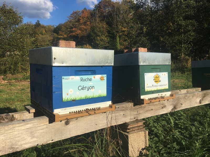 La ruche Géryon