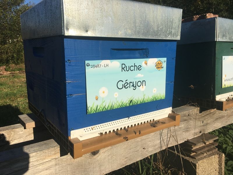 La ruche Géryon