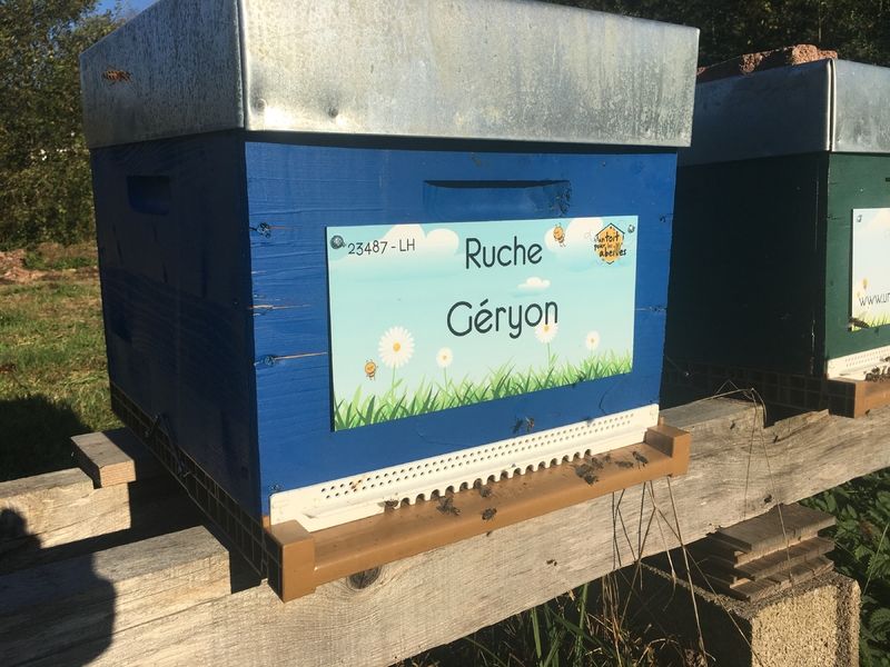 La ruche Géryon