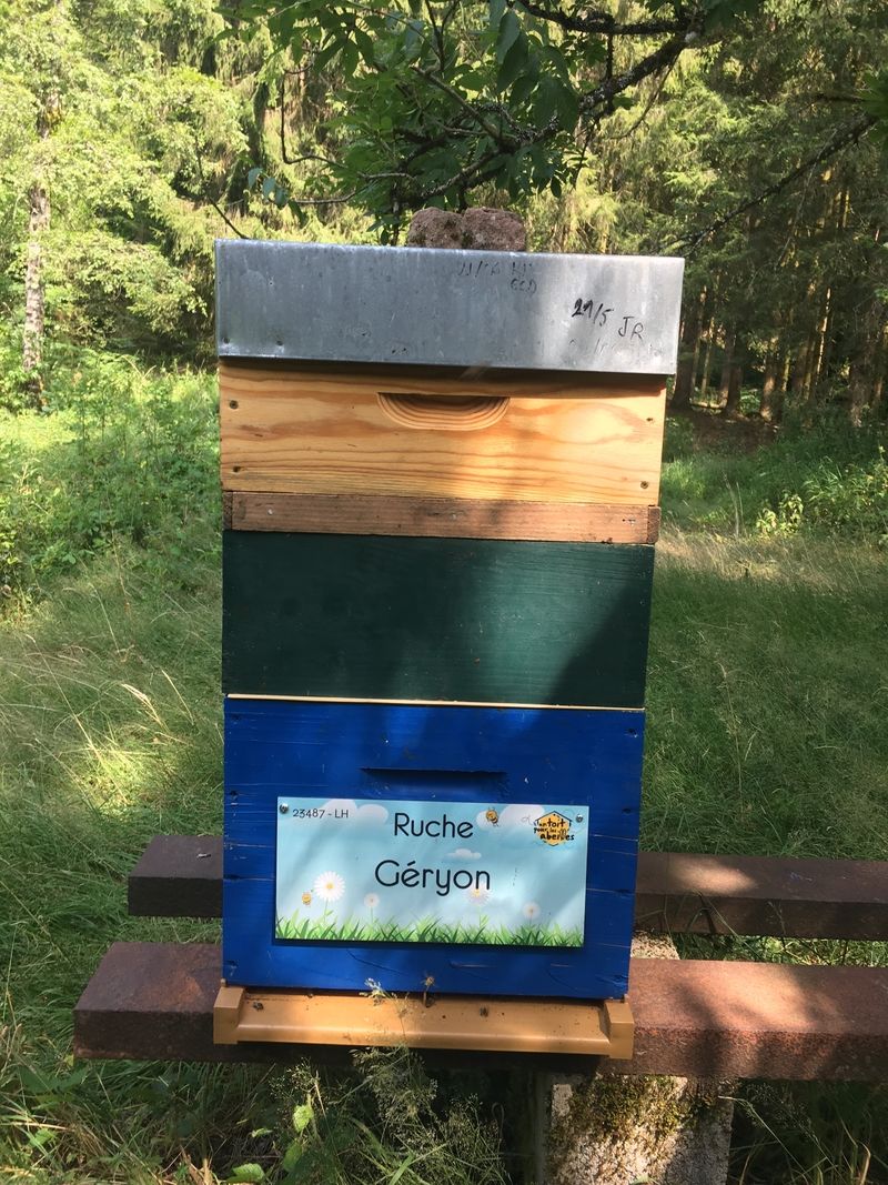 La ruche Géryon