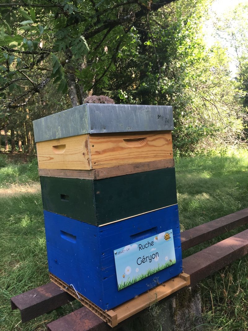 La ruche Géryon