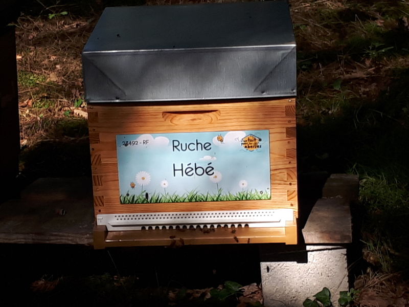 La ruche